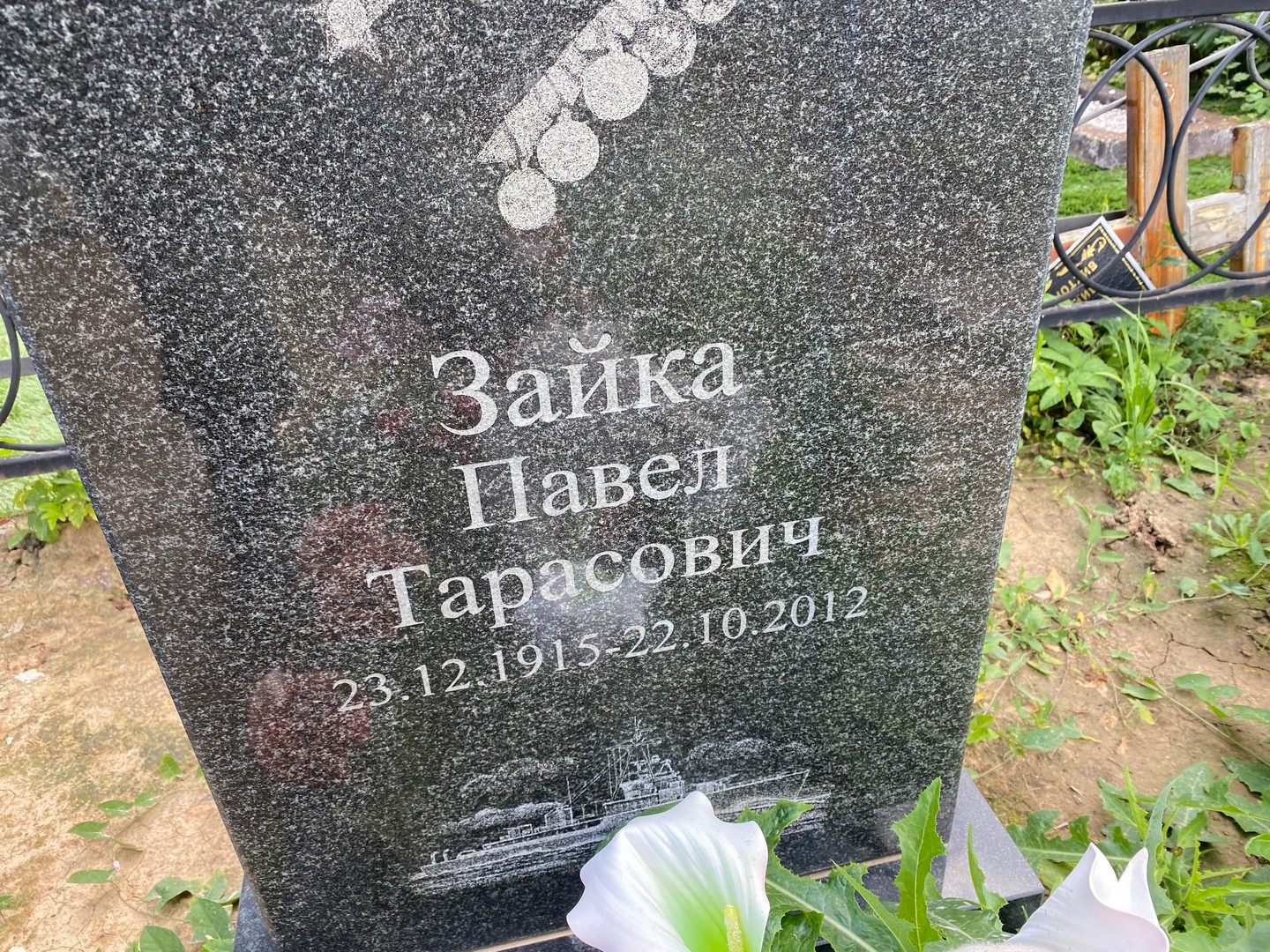 Зайка