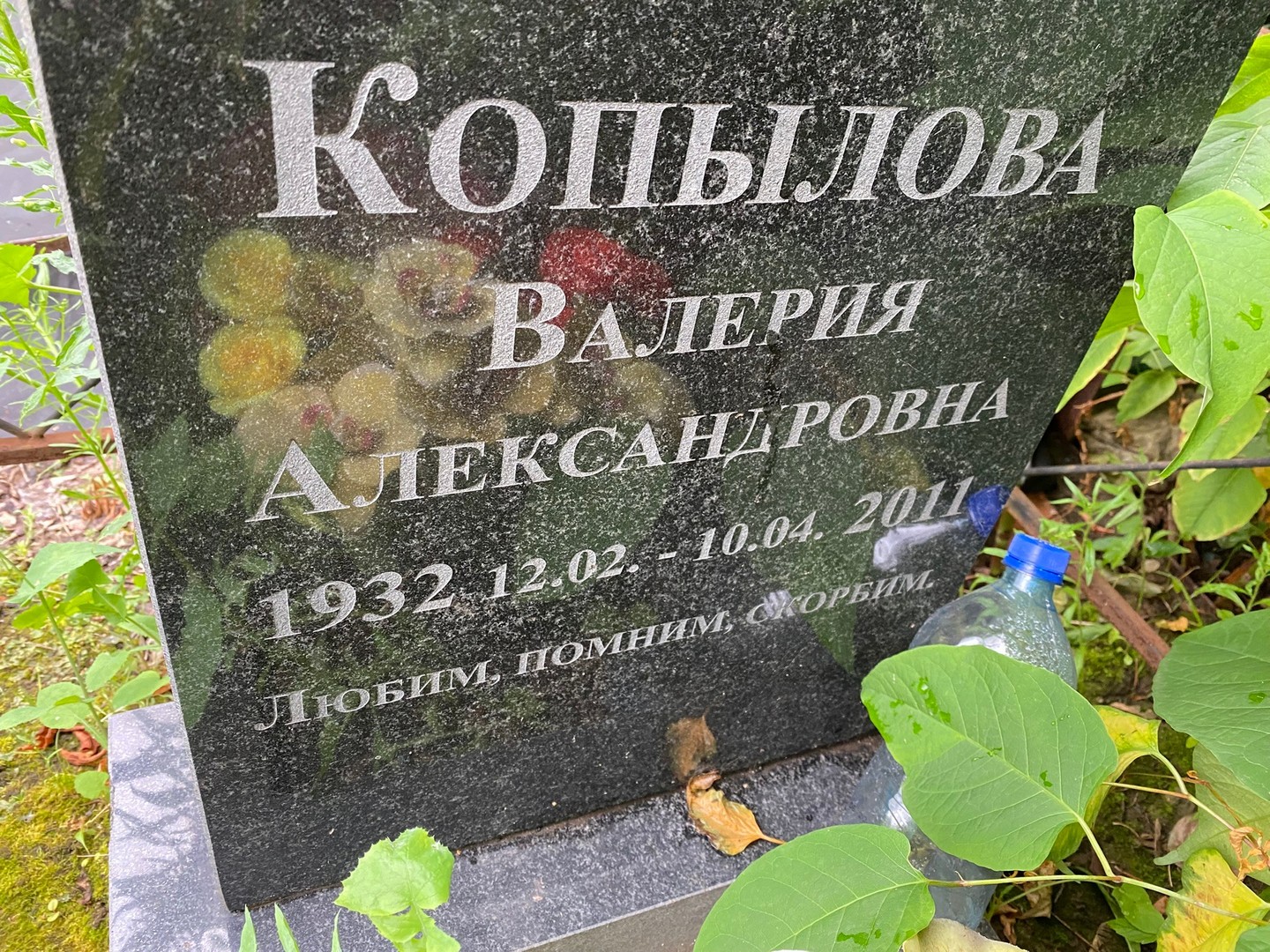 Копылова Валерия Александровна