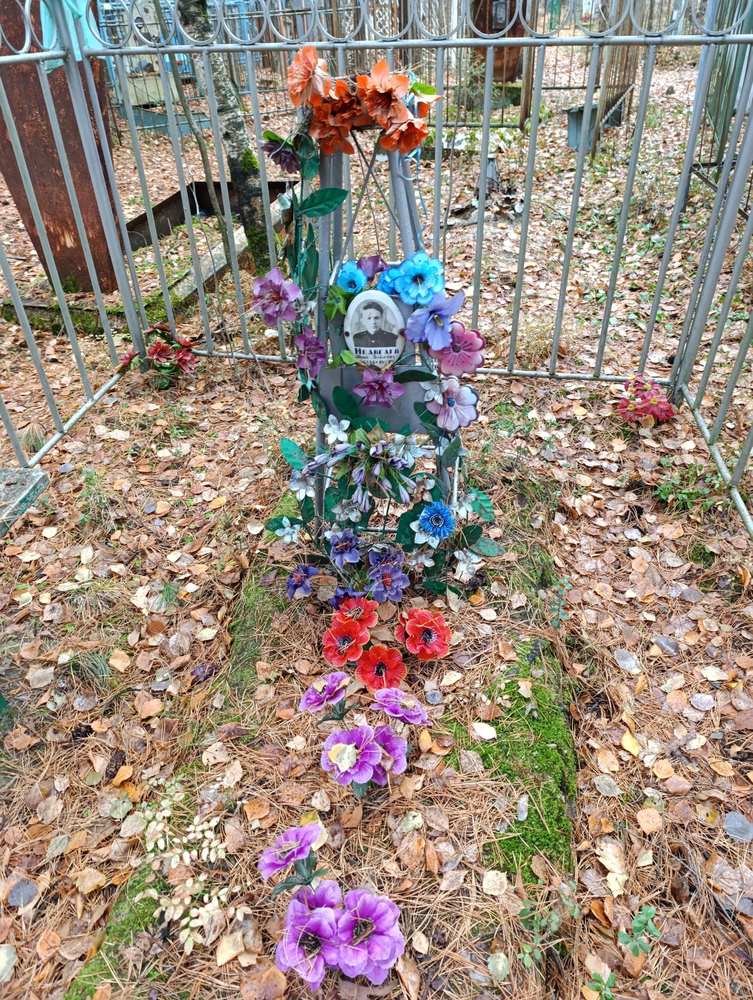 Медведев Юрий Яковлевич