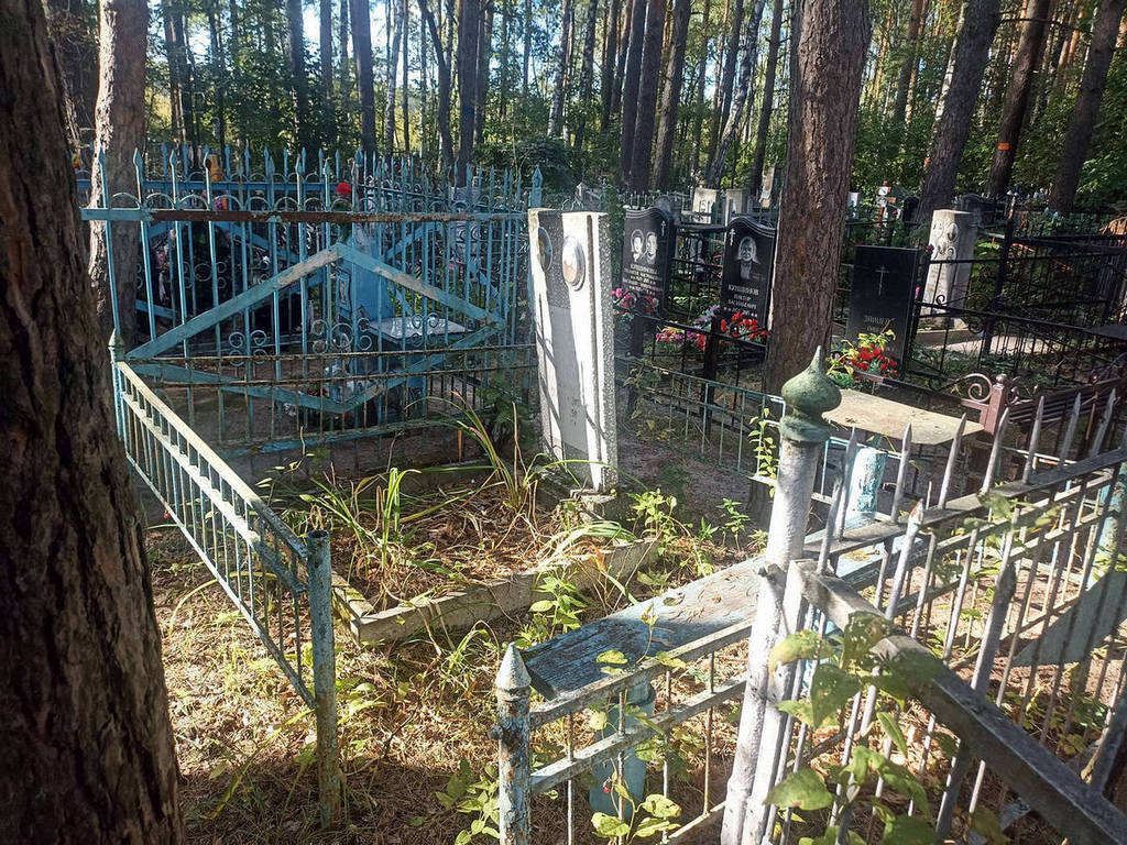 Селезенева Евгения Николаевна