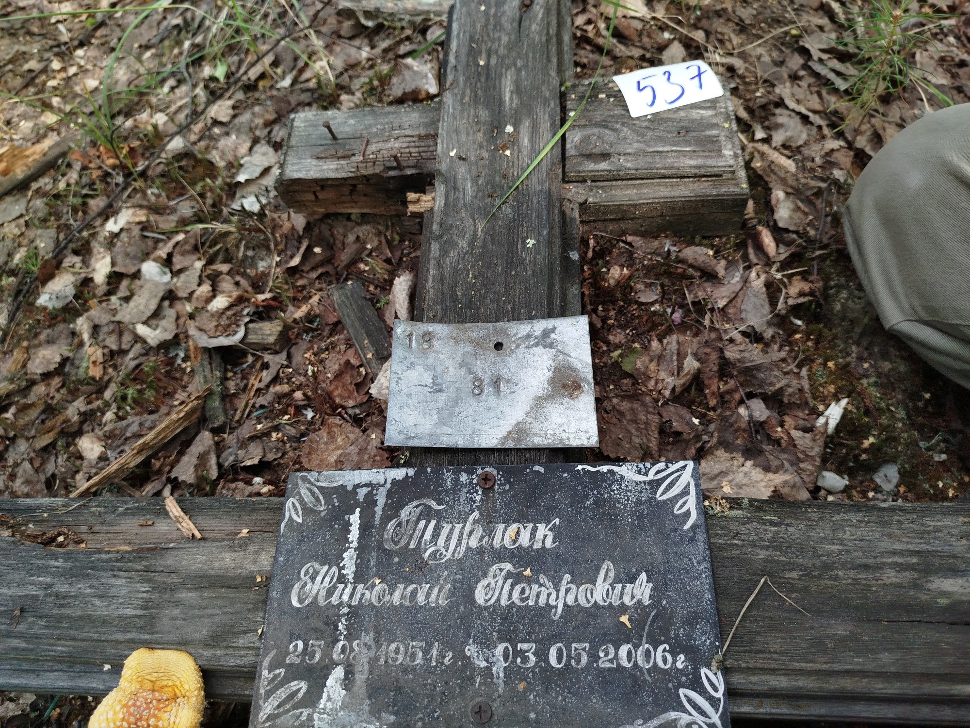 Турлак Николай Петрович