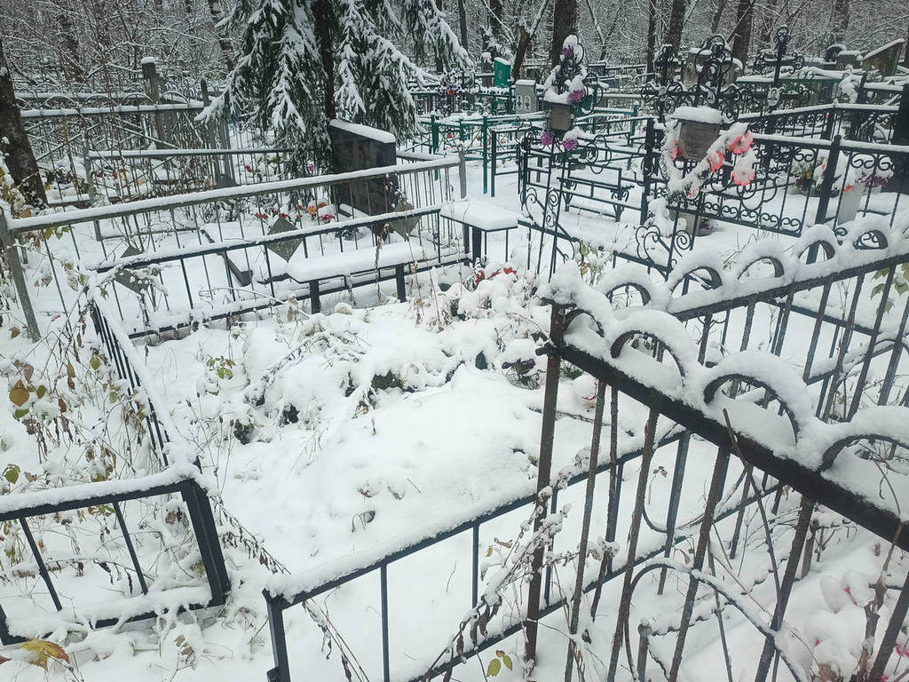 Конышева Алимпиада Филипповна