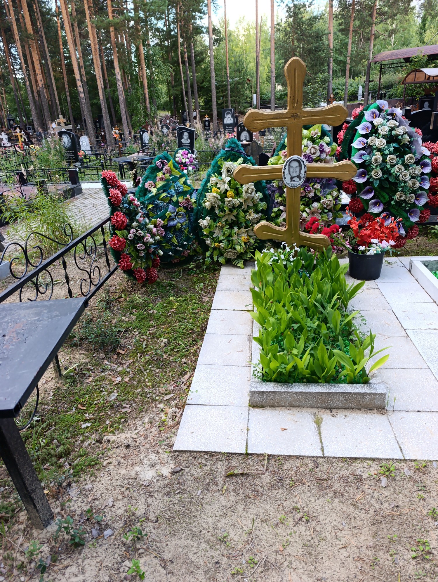 Денисова Анастасия Никитична