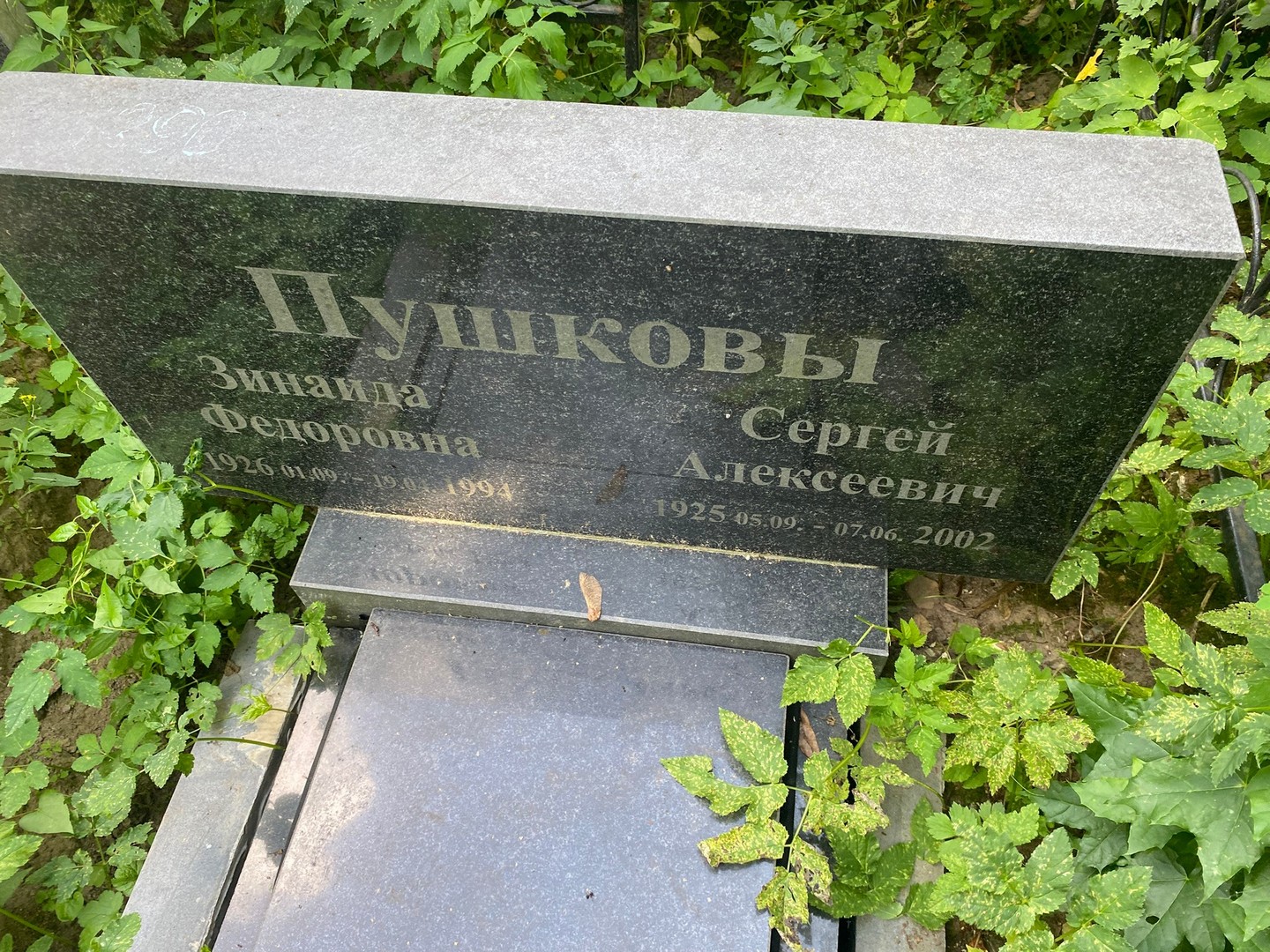 Пушков
