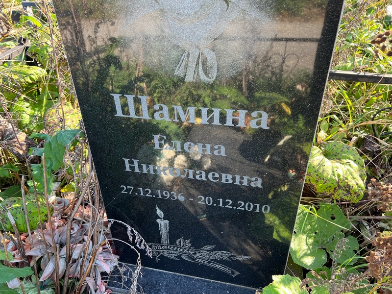 Шамина