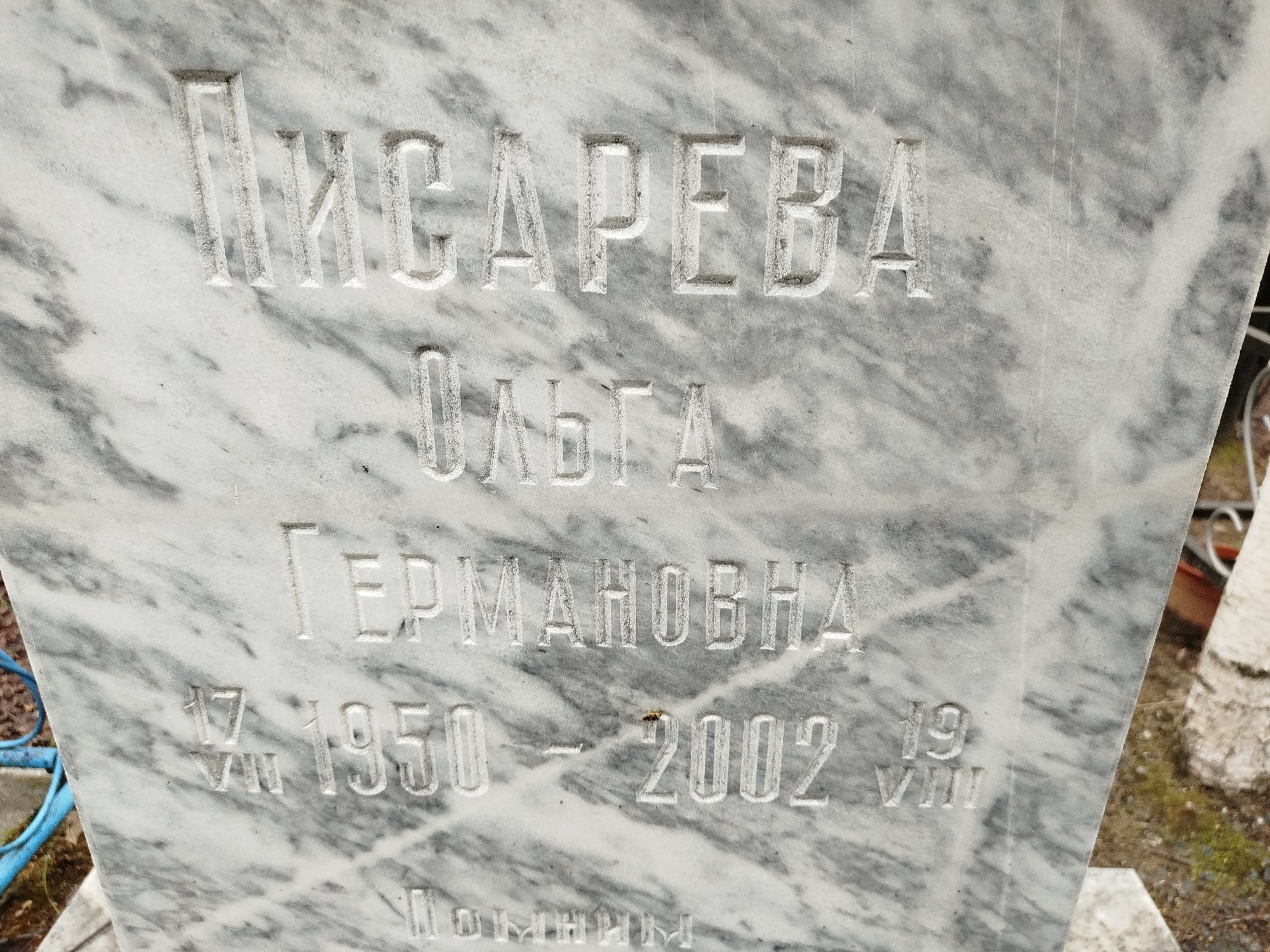 Писарева Ольга Германовна