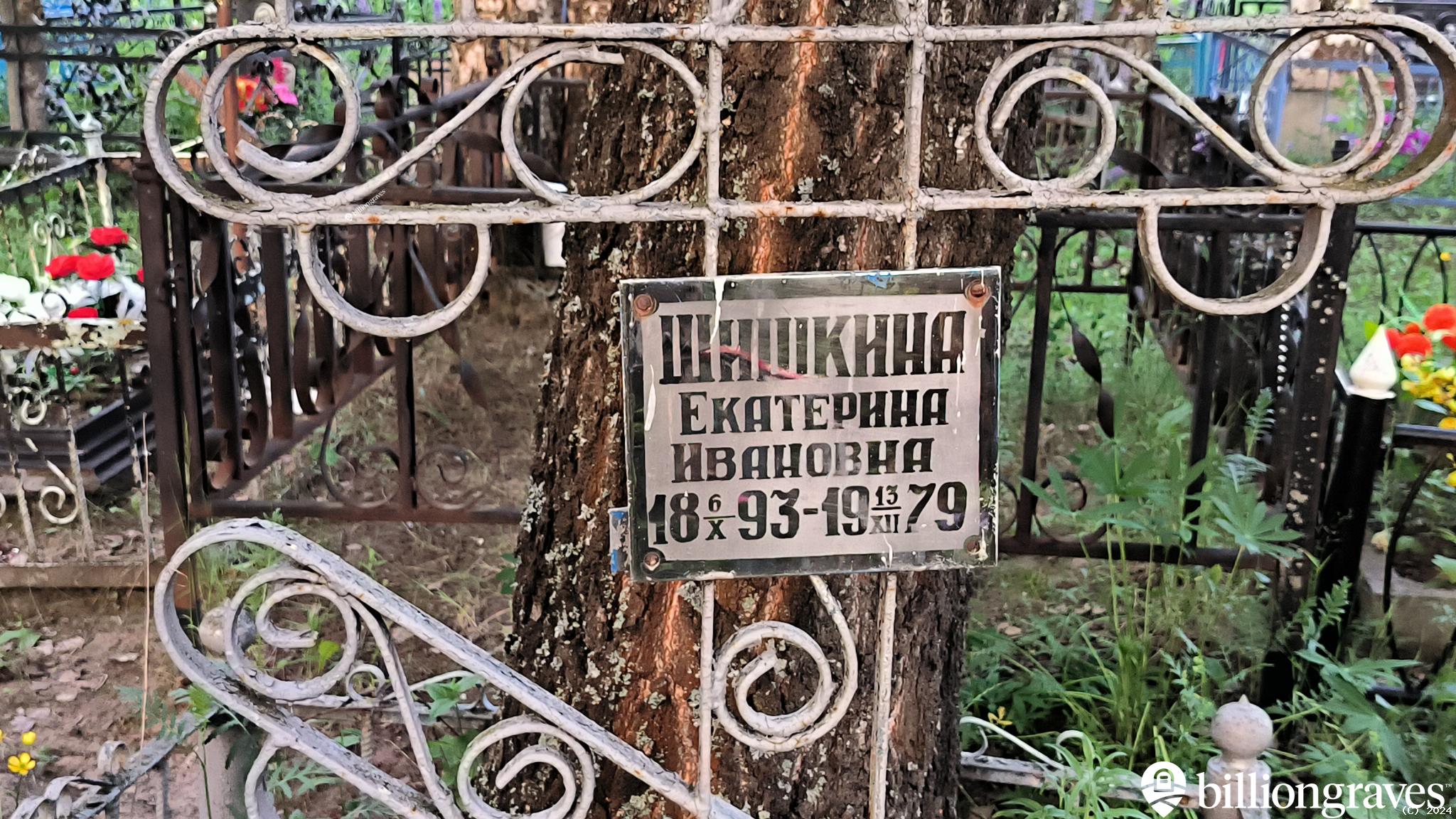 Шишкина Екатерина Ивановна