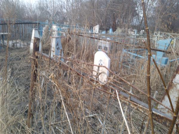 Ладыга Ксения Дмитриевна