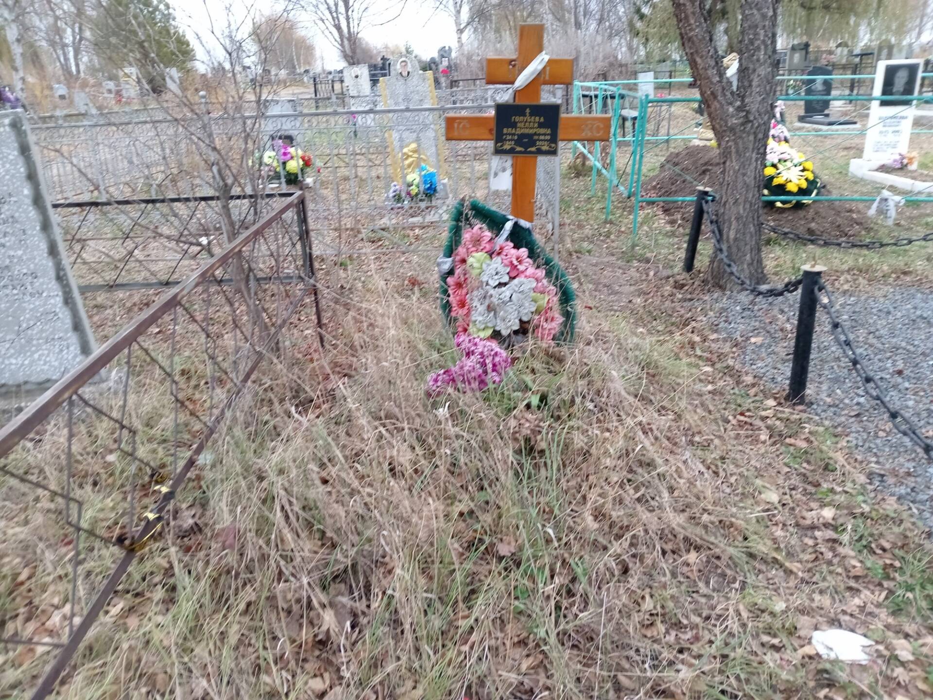 Голубева Нелли Владимировна