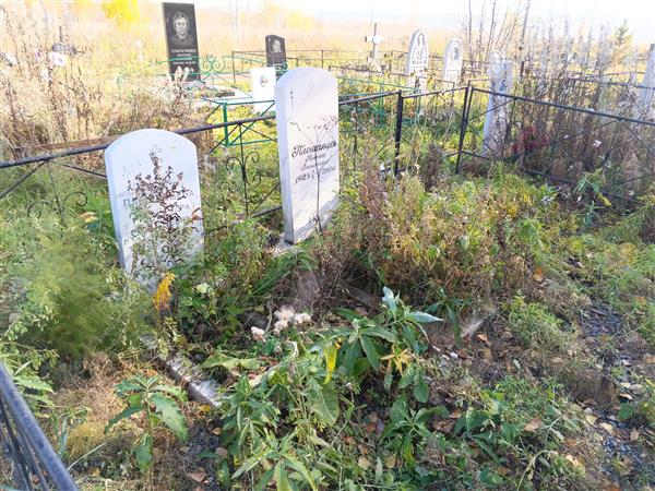 Плешивцев Николай Васильевич