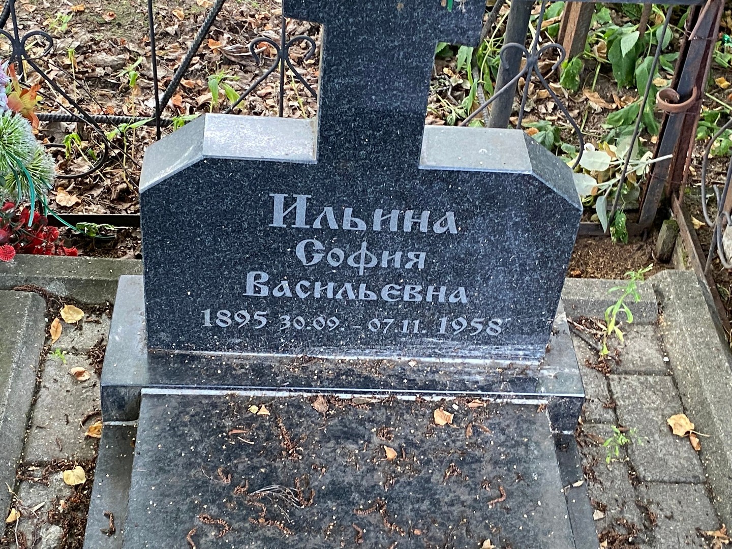 София Ильина Васильевна
