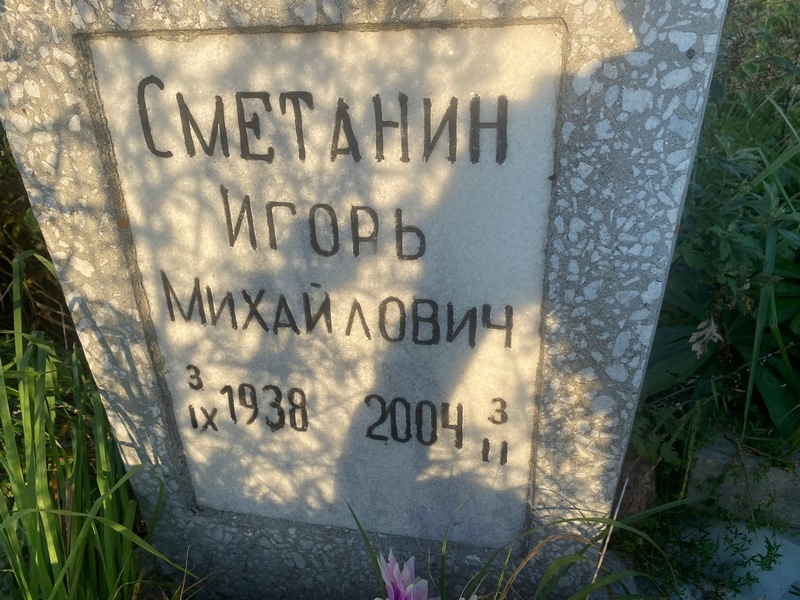 Сметанин