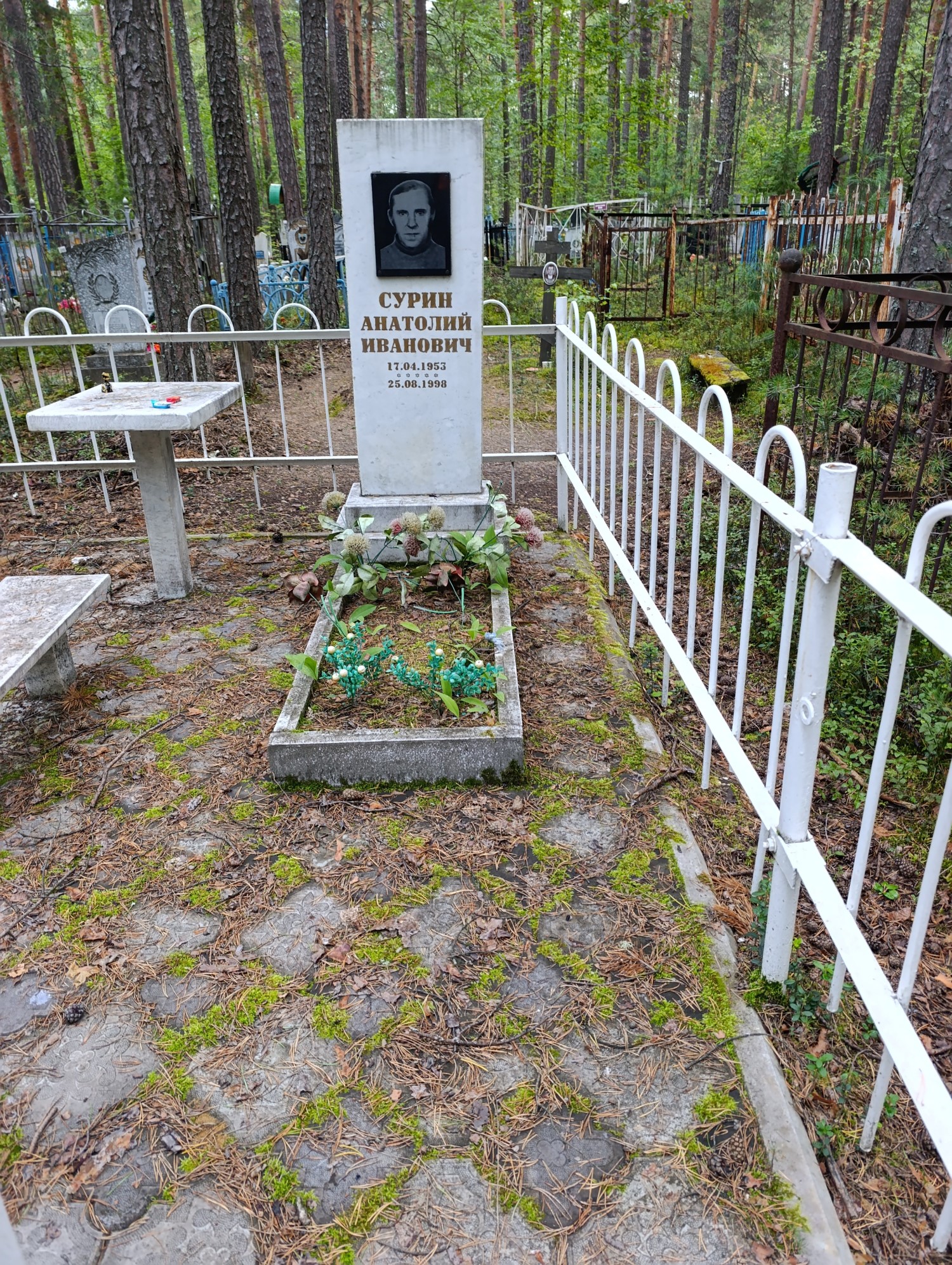 Сурин Анатолий Иванович