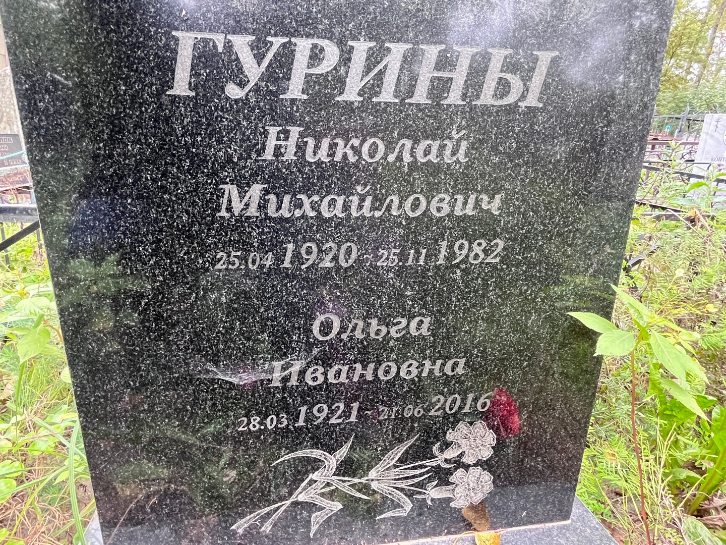 Гурина