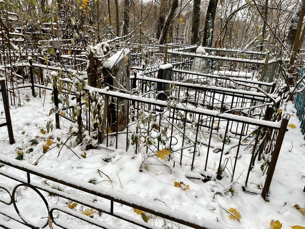 Лаврова Анна Михайловна
