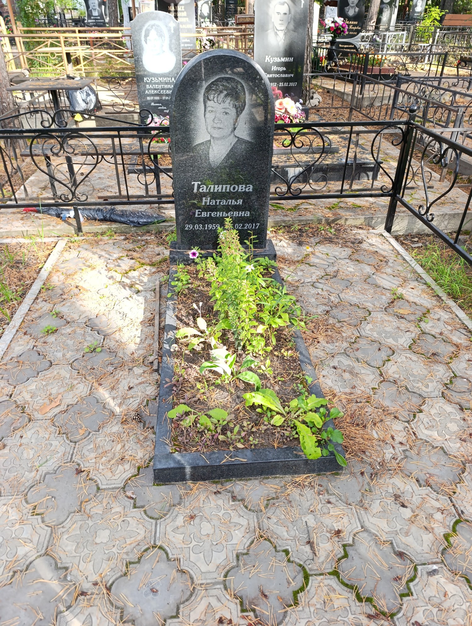 Талипова Наталья Евгеньевна
