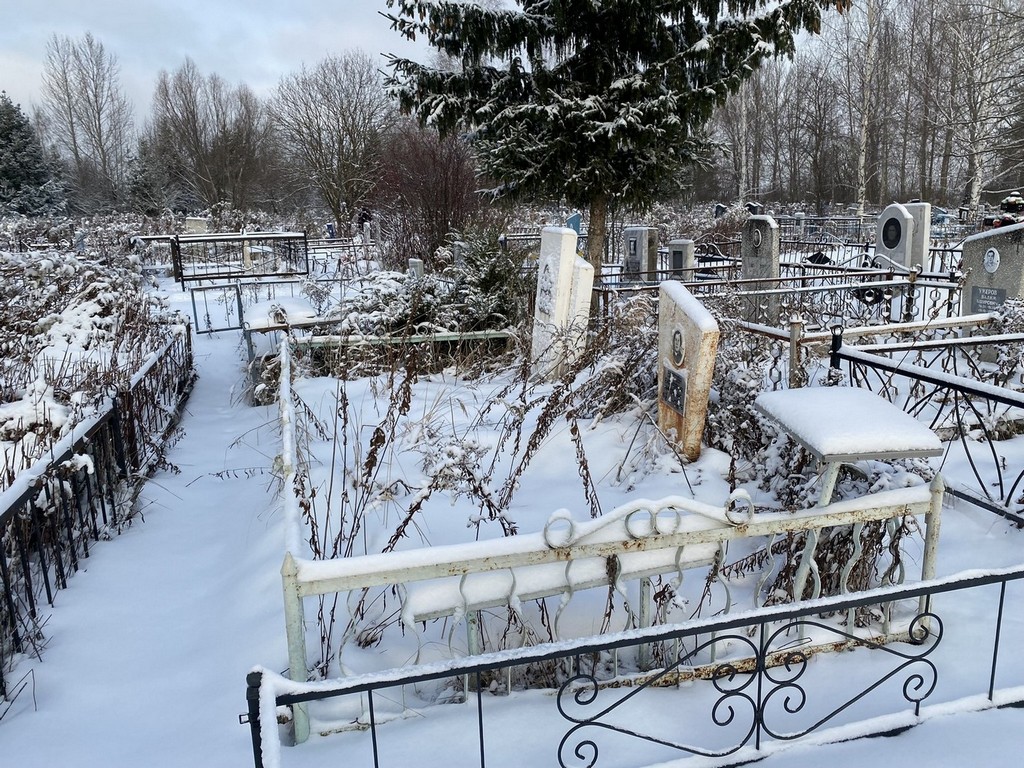 Власова Екатерина Николаевна