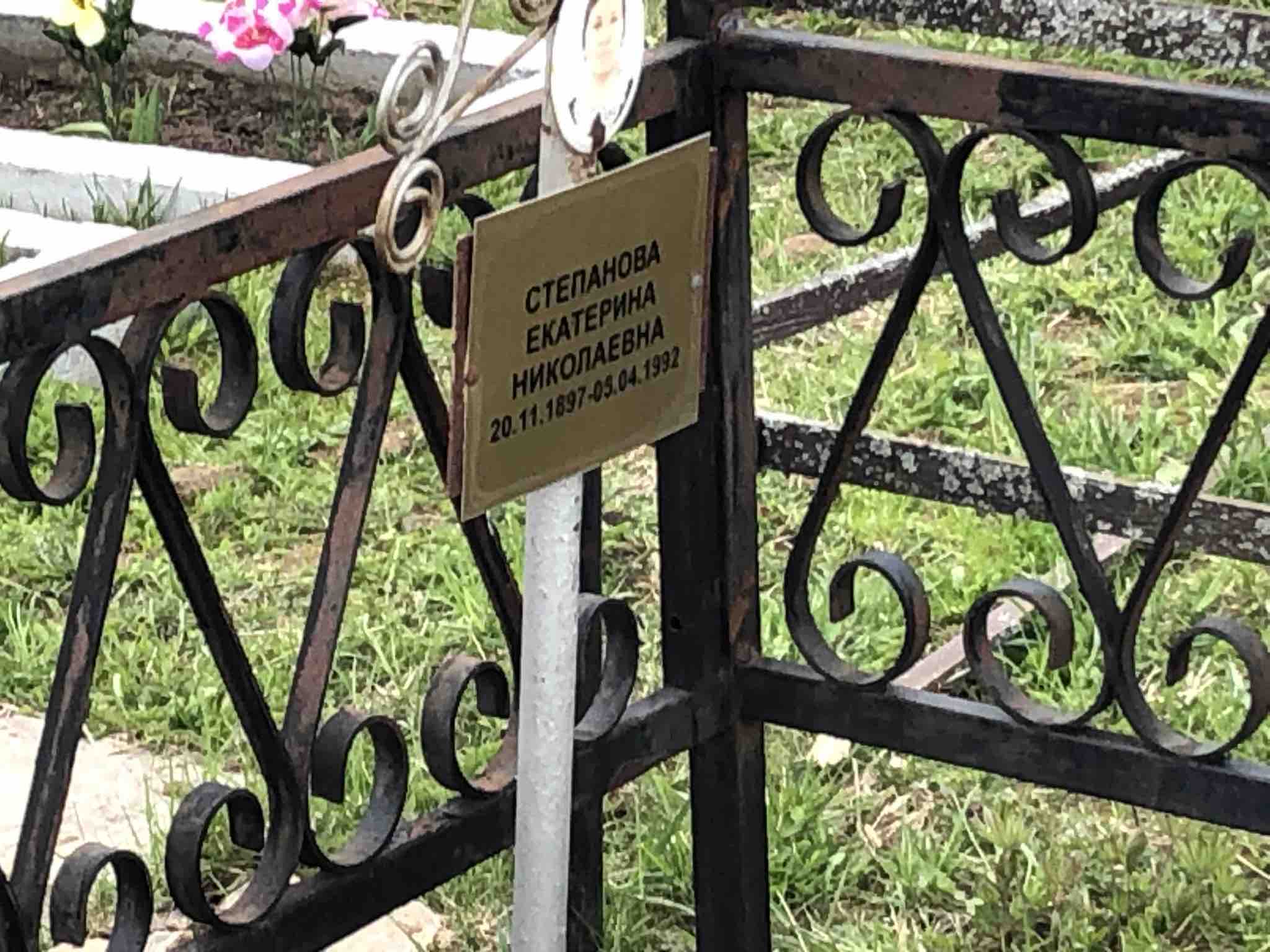 Степанова Екатерина Николаевна