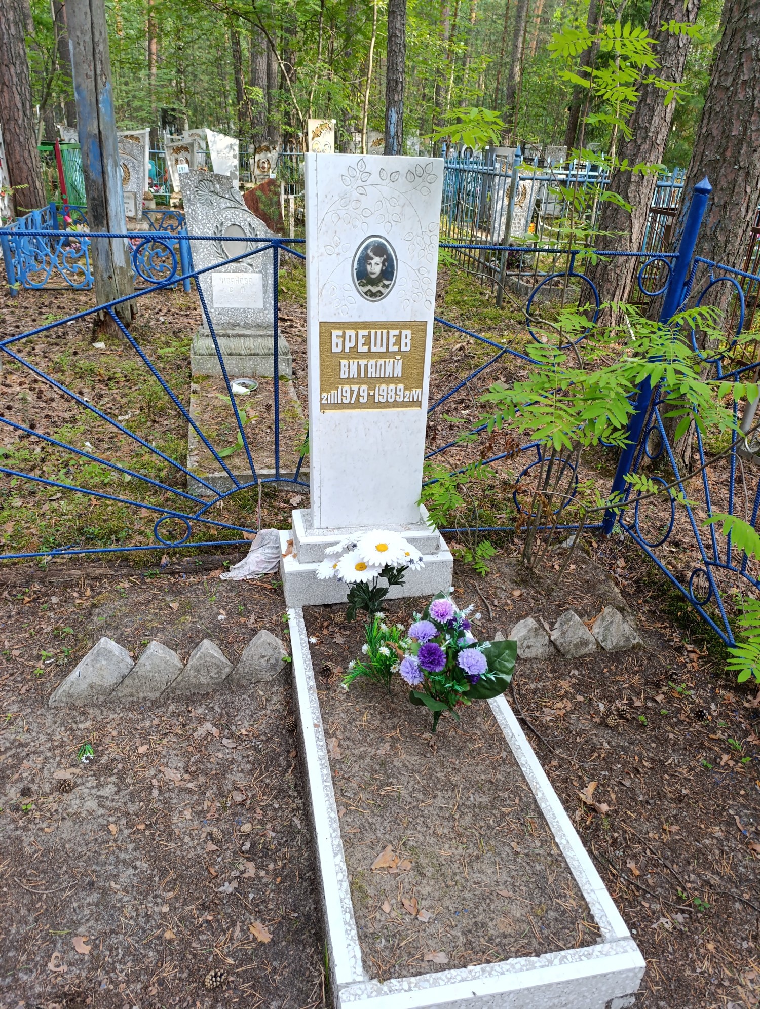 Брешев Виталий