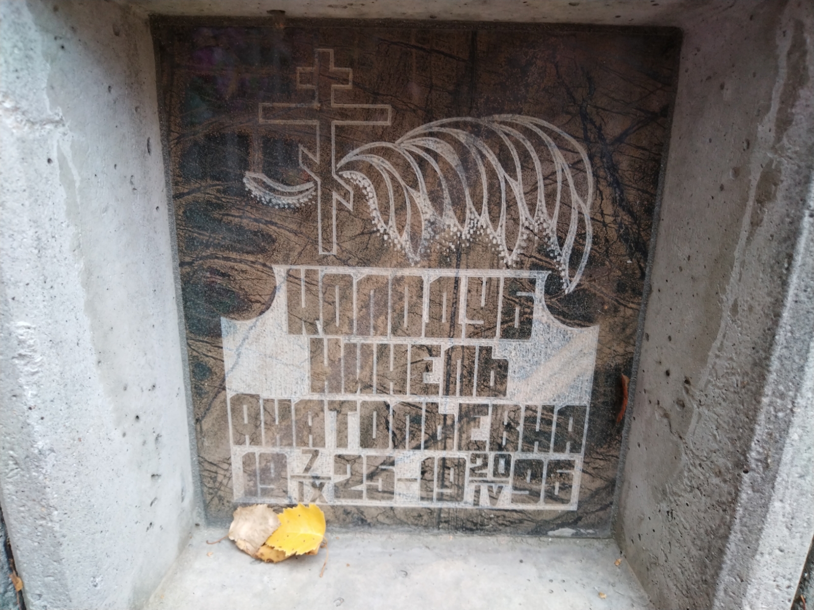 Колодуб Нинель Анатольевна