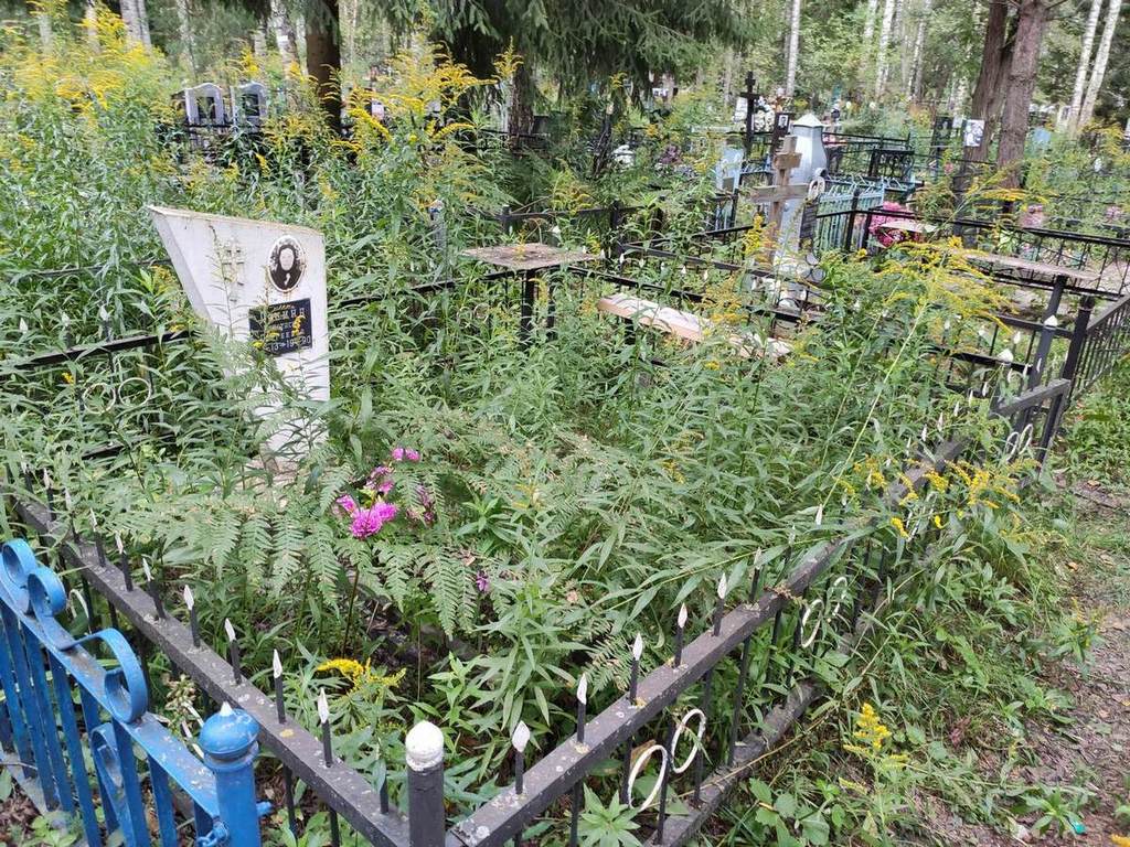 Лясина Анастасия Сергеевна