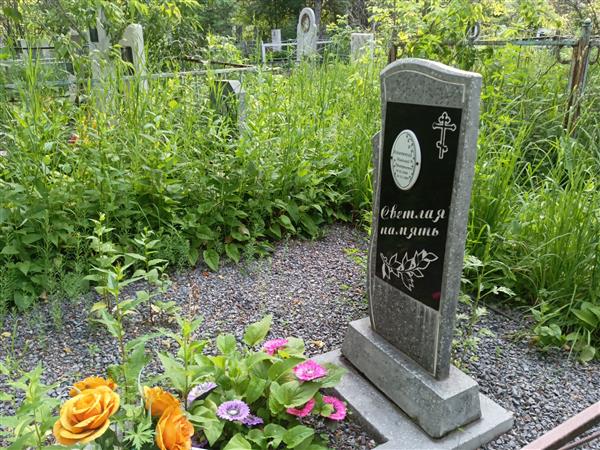 Алиевский Николай Григорьевич