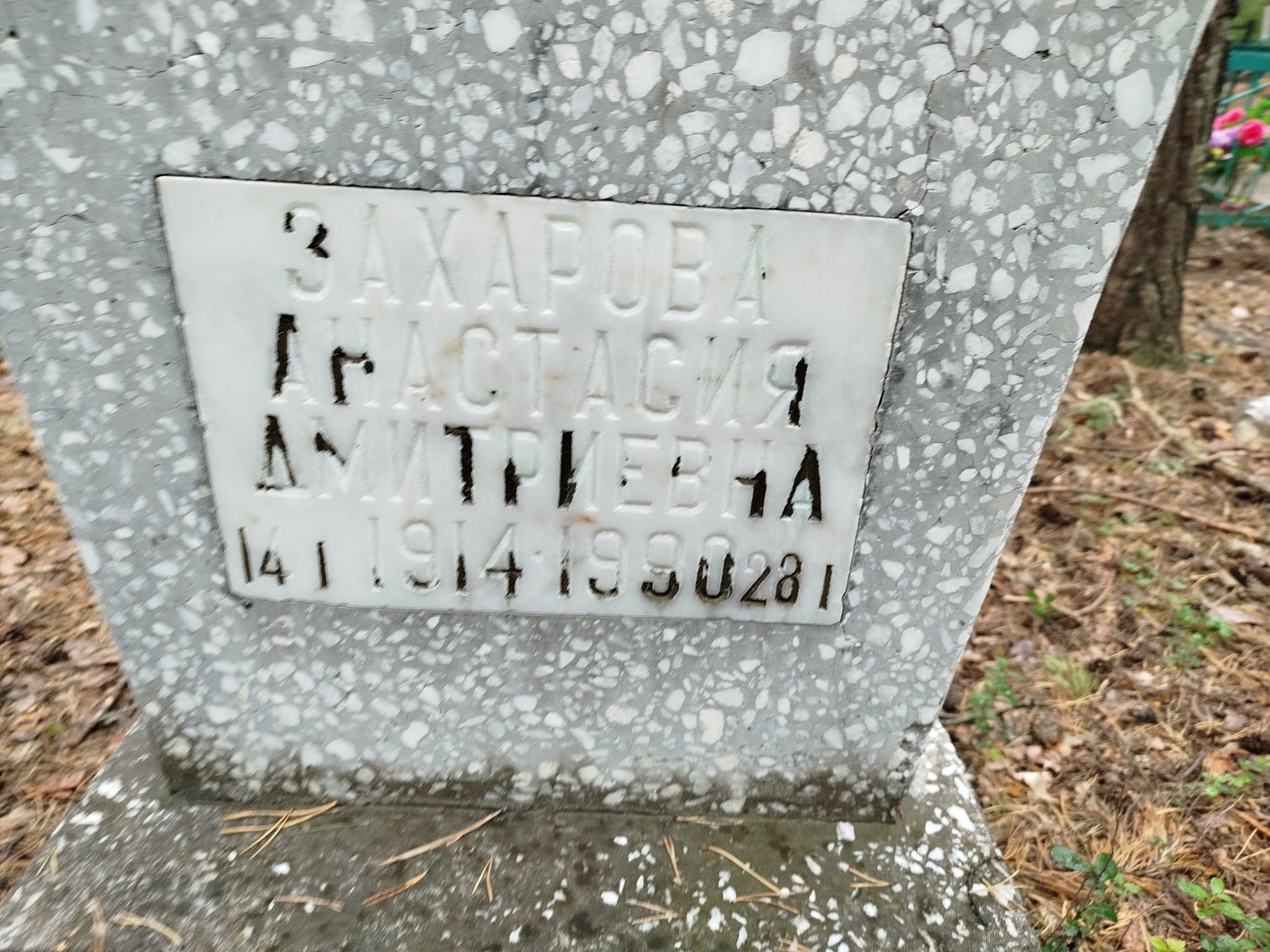 Захарова Анастасия Дмитриевна