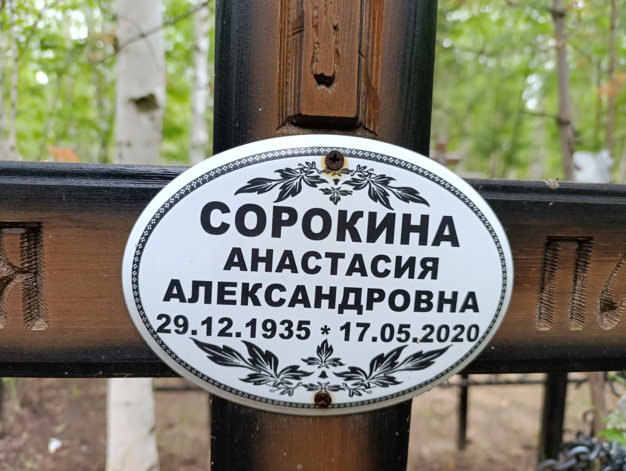 Сорокина Анастасия Александровна