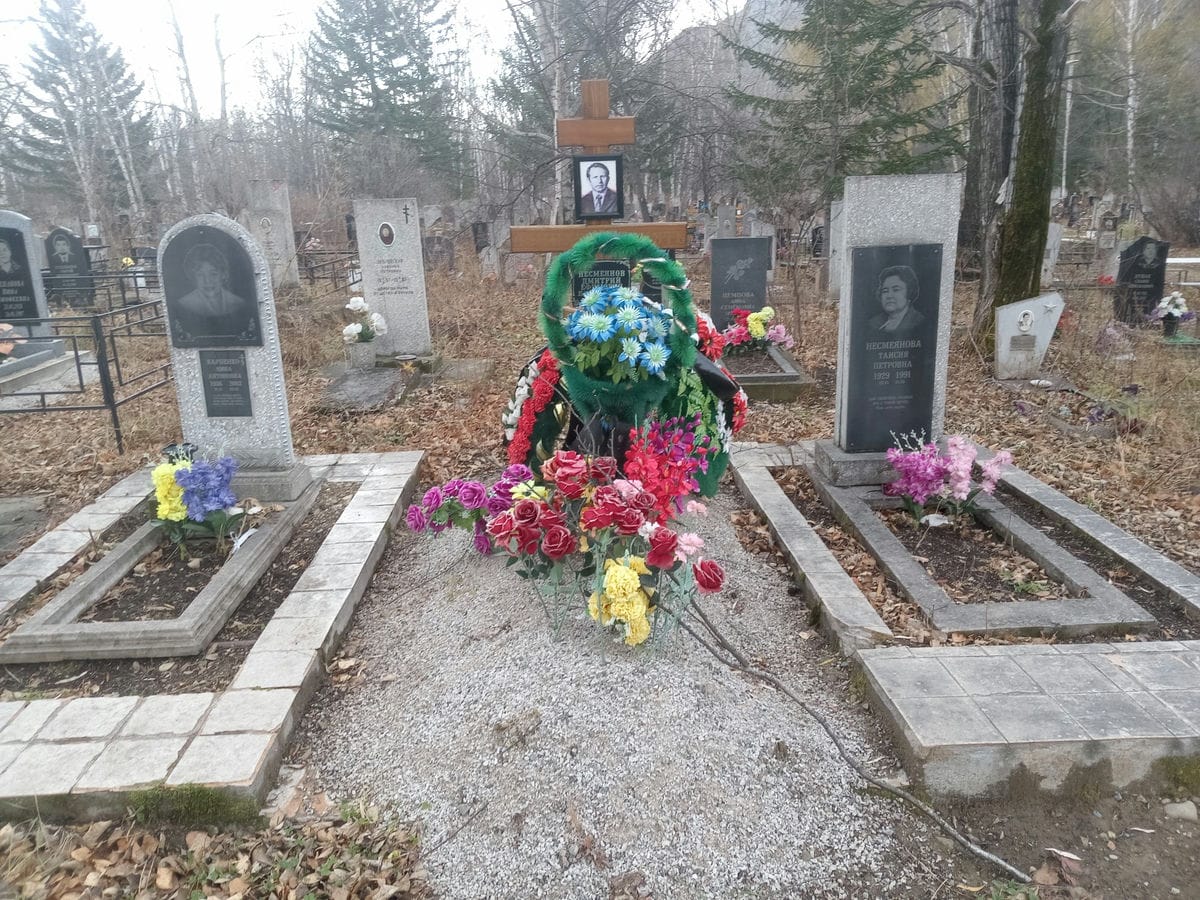 Несмеянов Дмитрий Ефимович