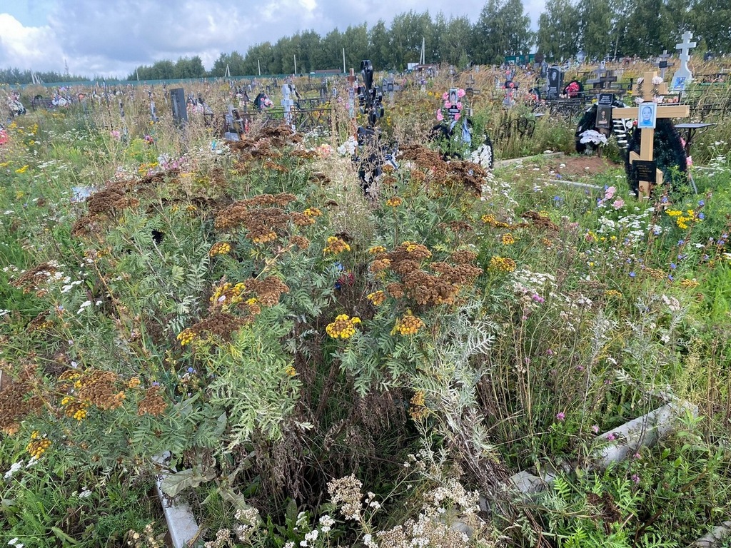 Брычева Наталья Валерьевна