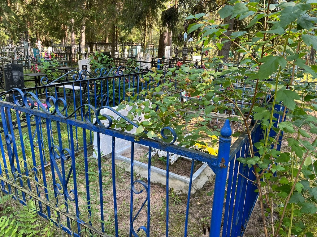 Клемешова Анна Степановна