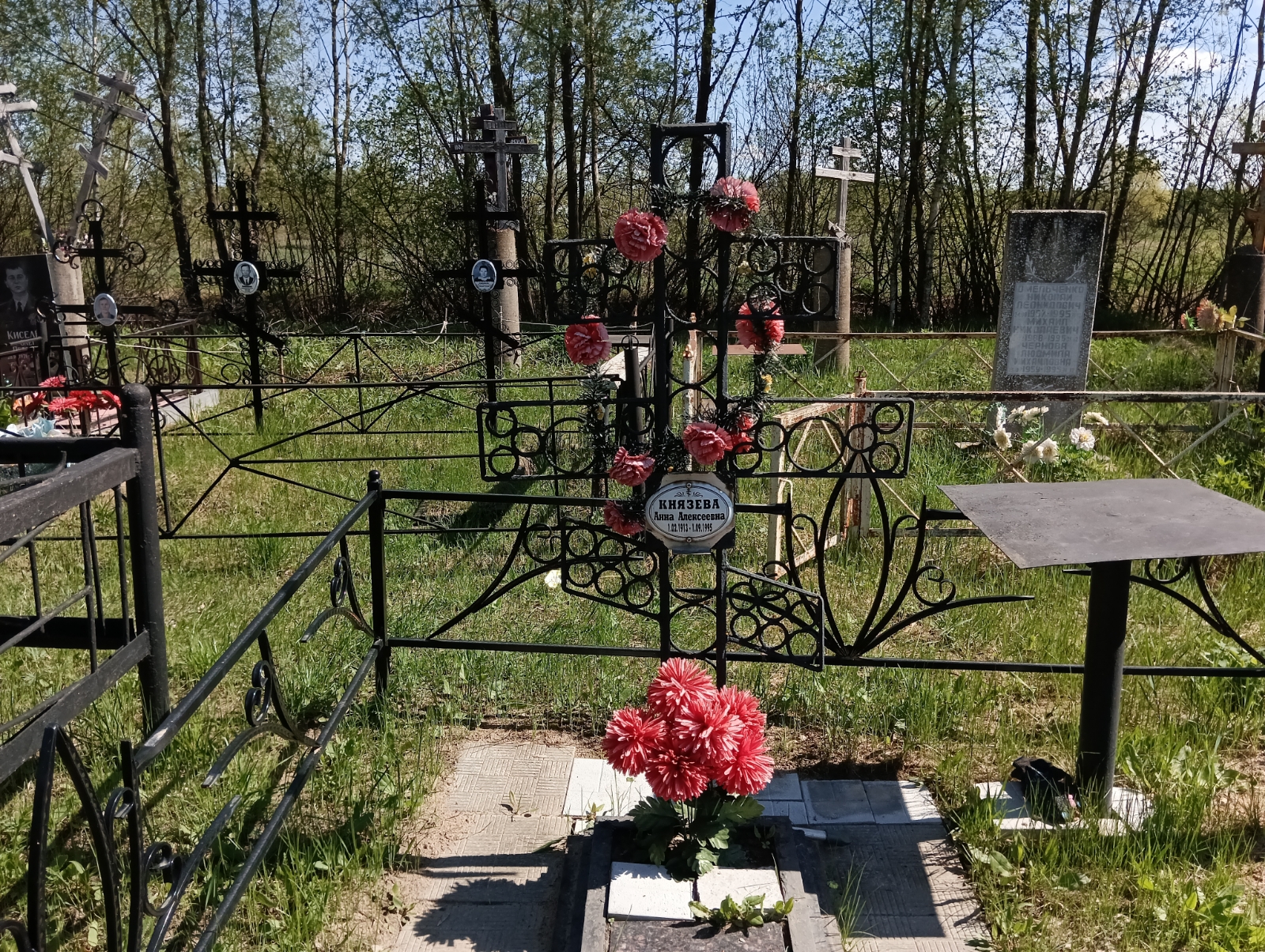 Князева Анна Алексеевна