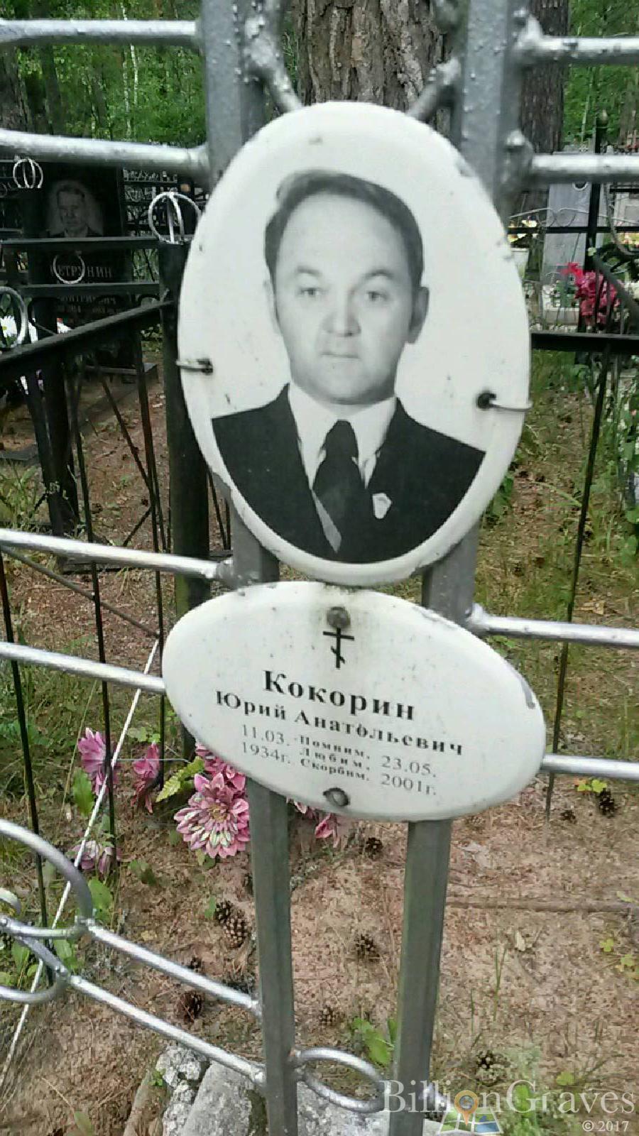 Андрющин Владимир Евгеньевич