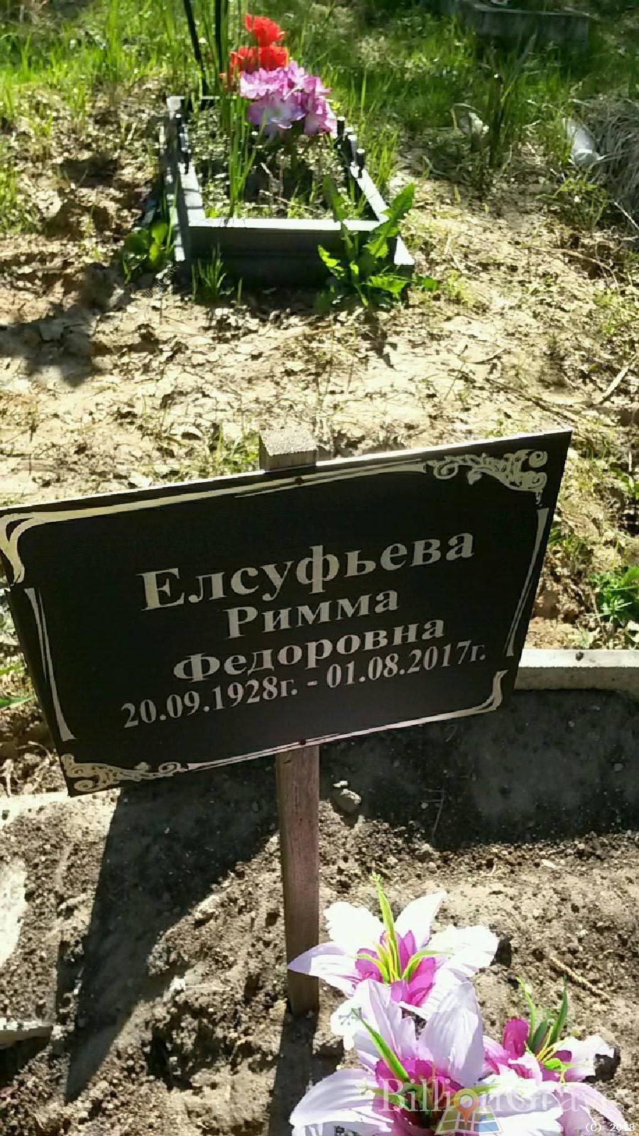 Елсуфьева Римма Федоровна