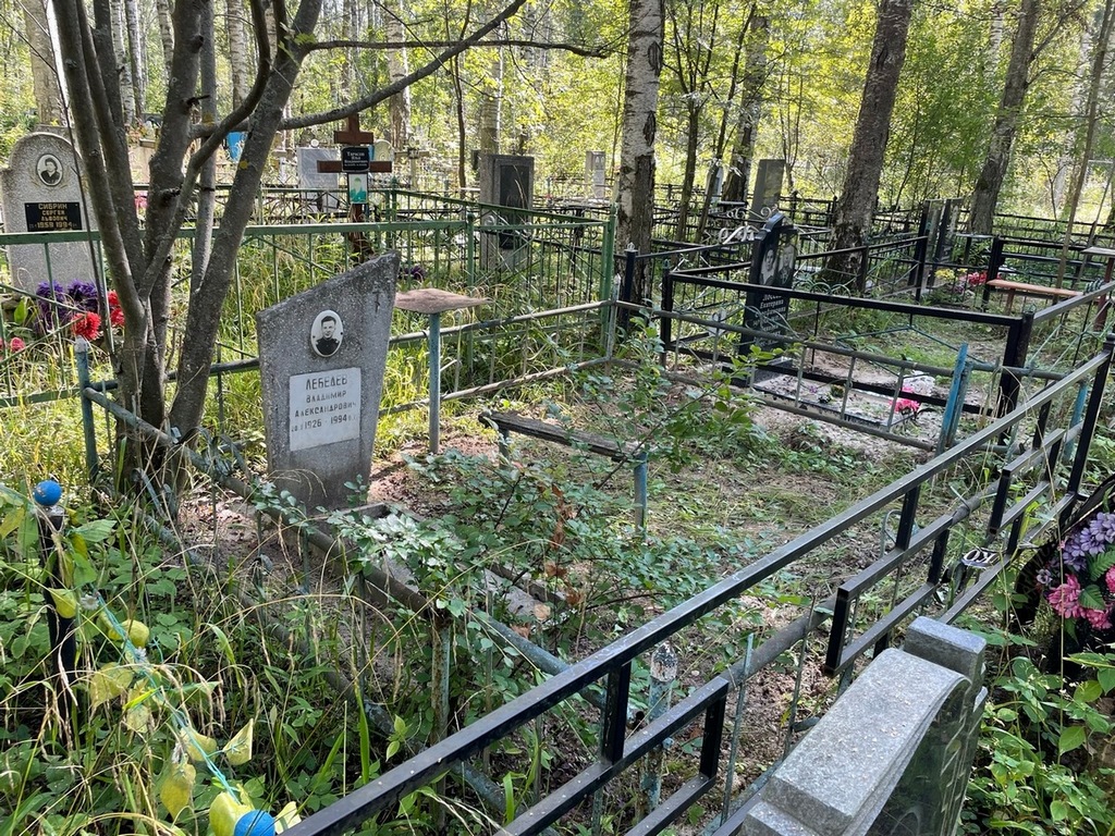 Лебедев Владимир Александрович