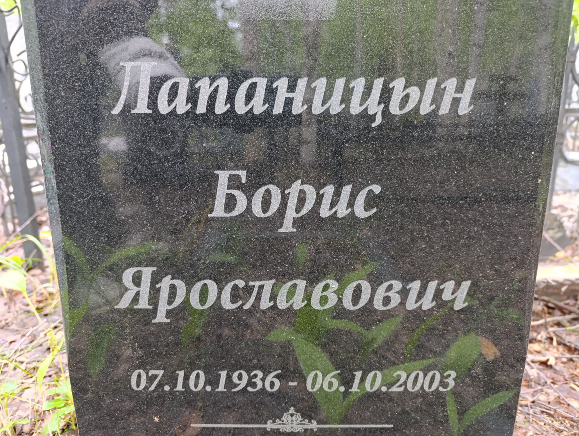 Лапаницын Борис Ярославович