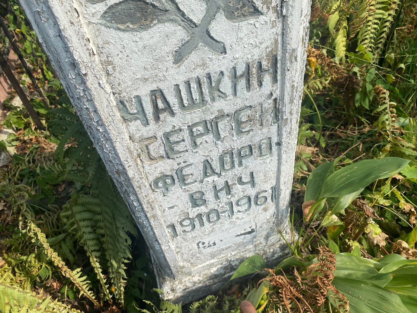 Чашкин