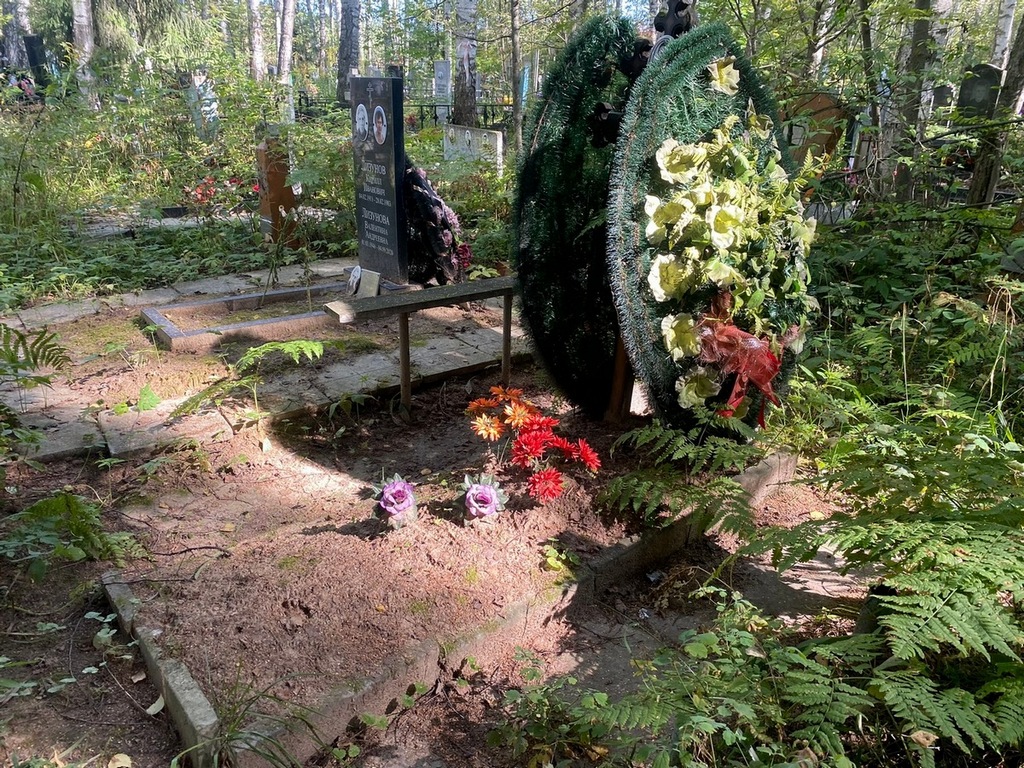 Дружинин Леонид Николаевич