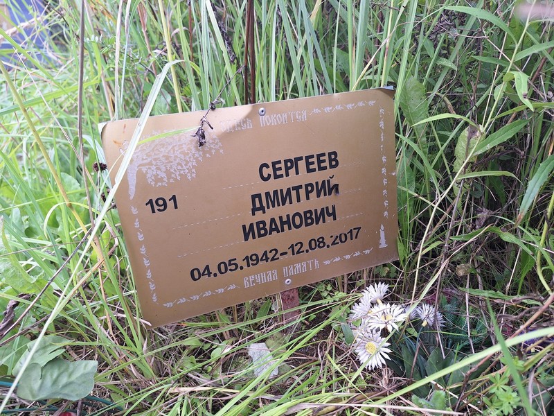 Сергеев