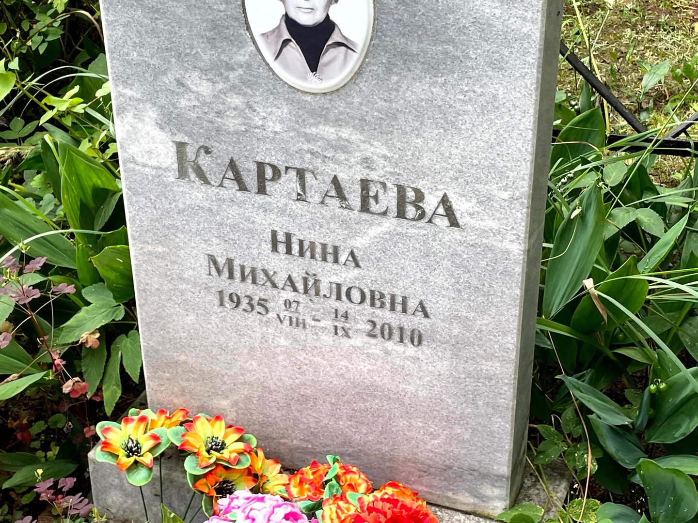 Картаева