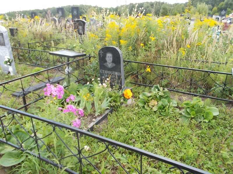 Старостина Людмила Георгиевна