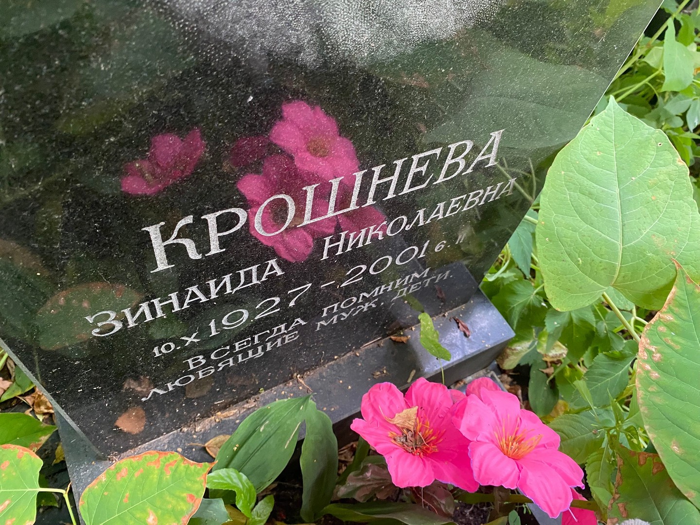 Крошнева