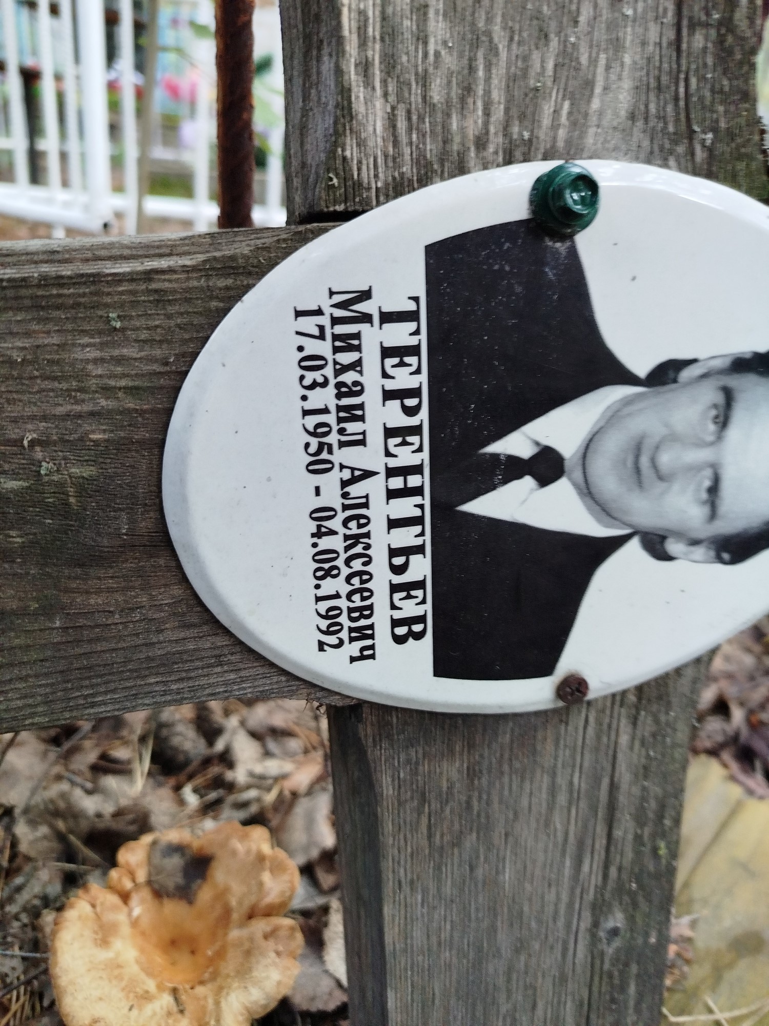 Терентьев Михаил Алексеевич
