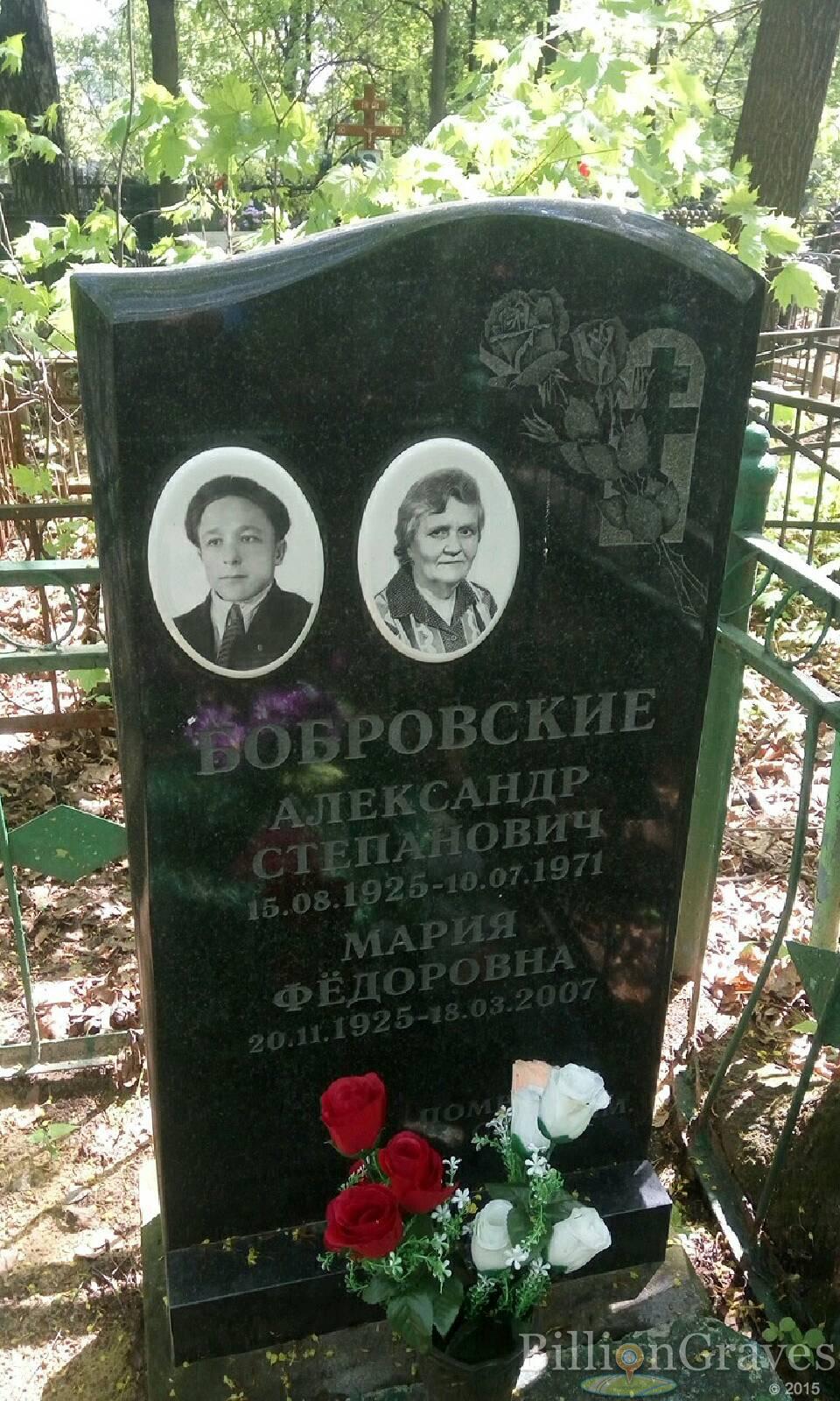 бобровский александр степанович