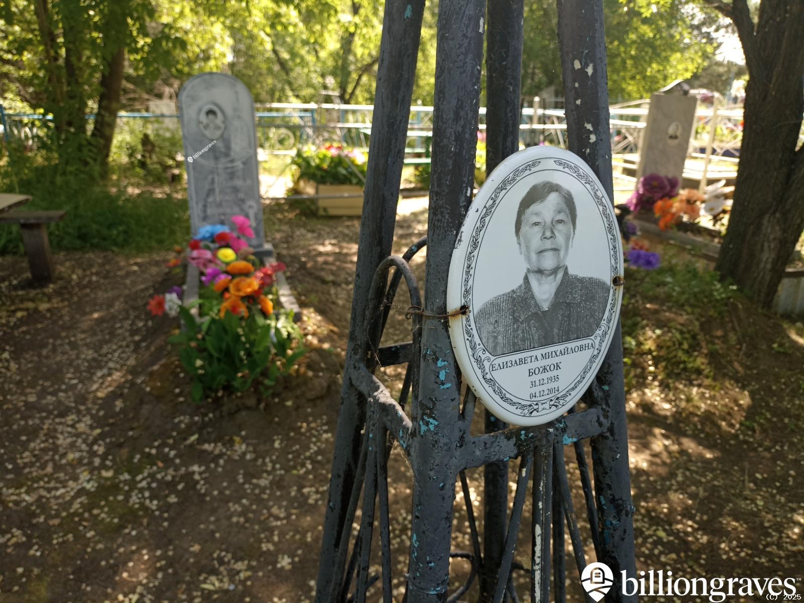 Божок Елизавета Михайловна