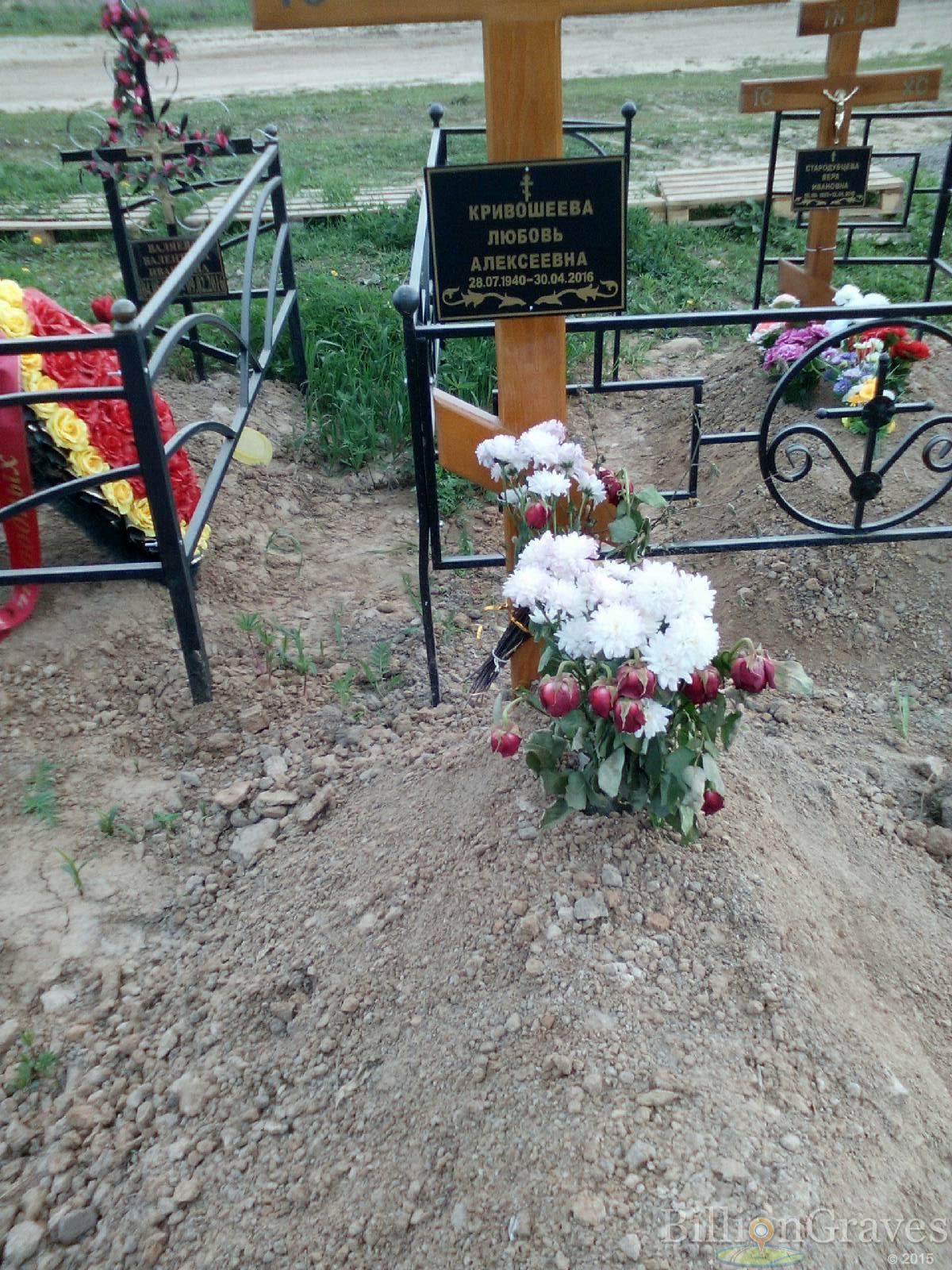 кривошеева любовь алексеевна