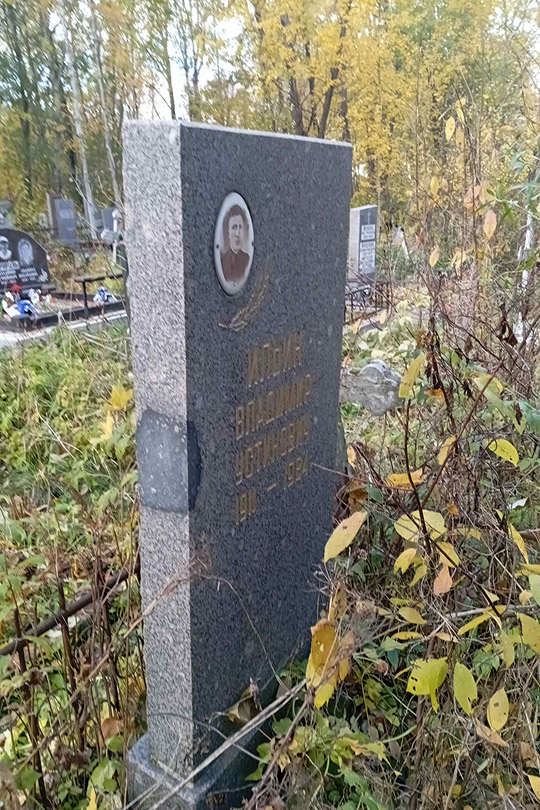 Ильин Владимир Устинович