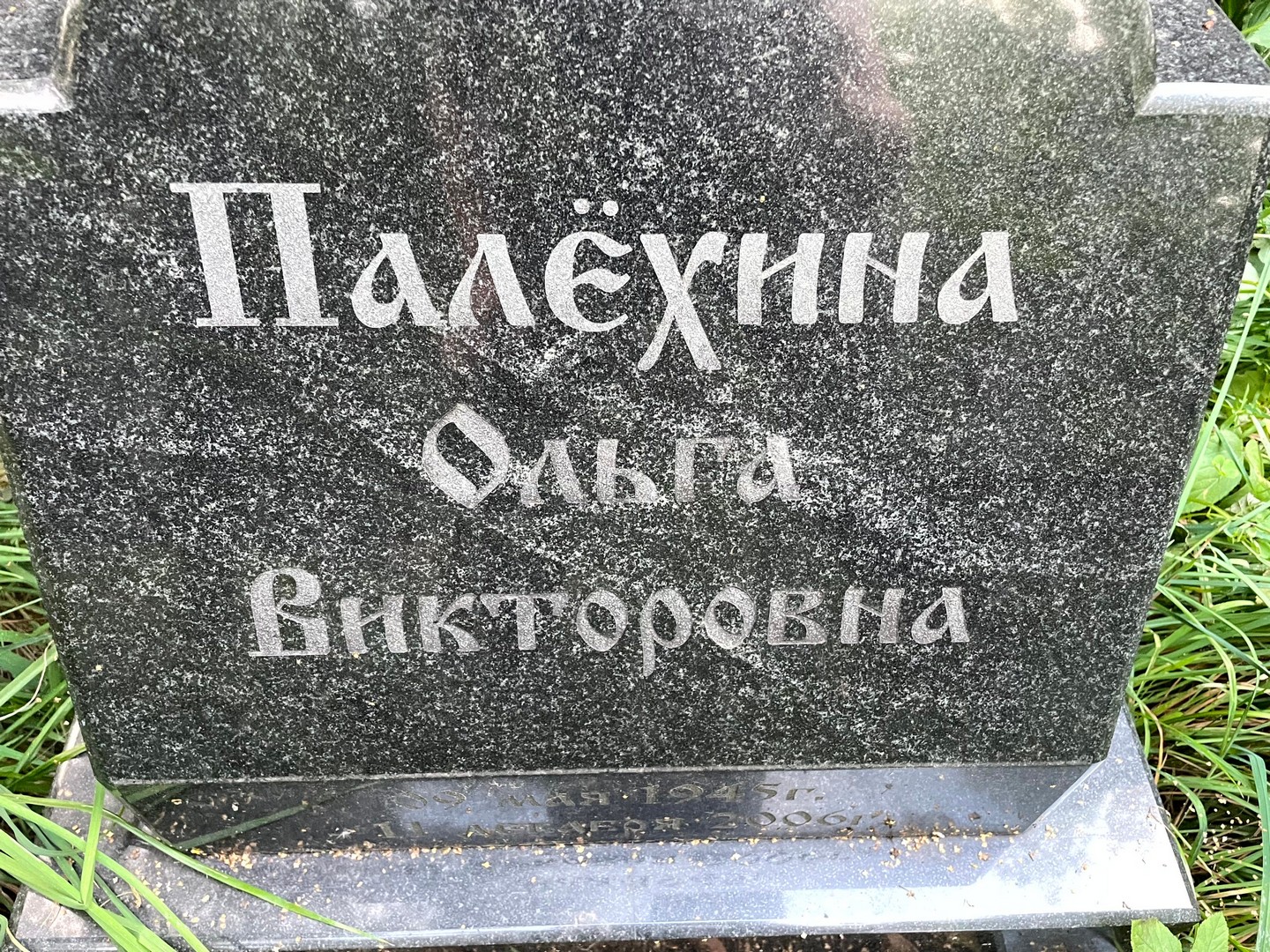 Палехина