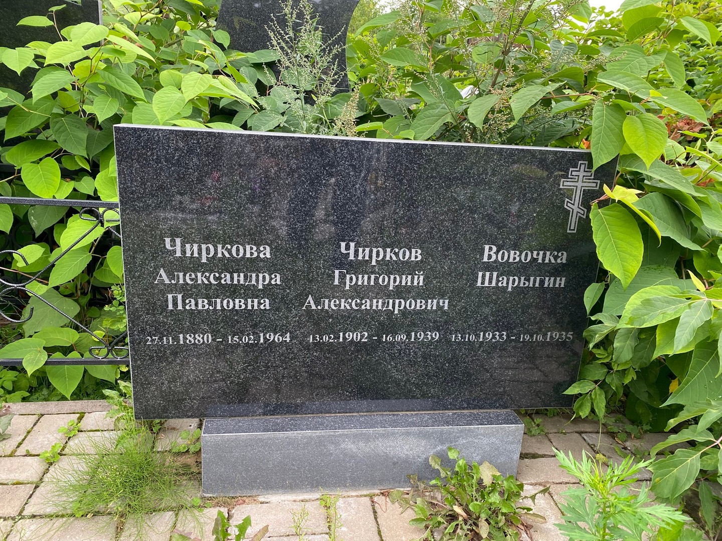 Чиркова Александра Павловна