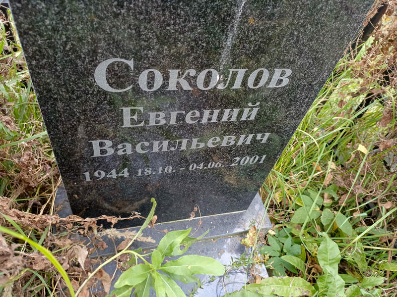 Соколов